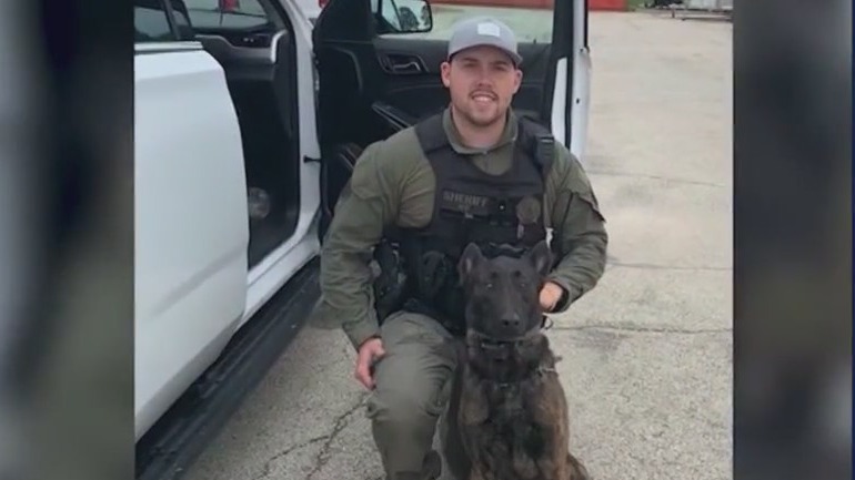 Witnesses asked to come forward after K-9 fatally shot in the line of duty