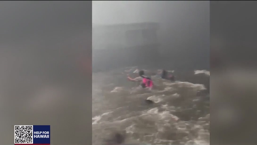 Video shows Maui survivors jumping into water to escape devastating fire