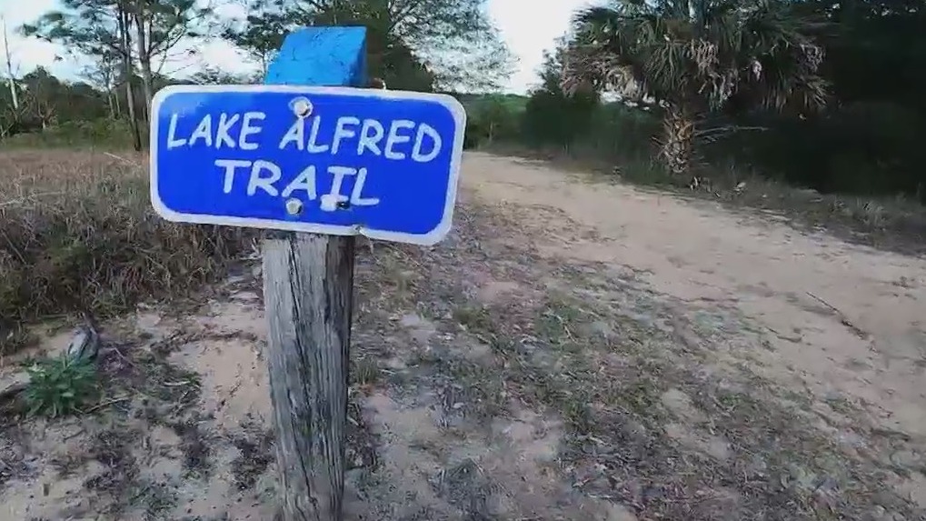 Florida jogger attacked in broad daylight