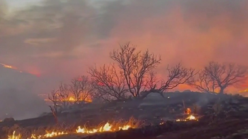 Texas wildfires is second biggest in Texas history