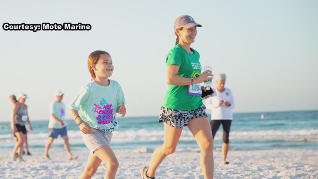 Run for the Turtles set for Apr. 6 on Siesta Beach
