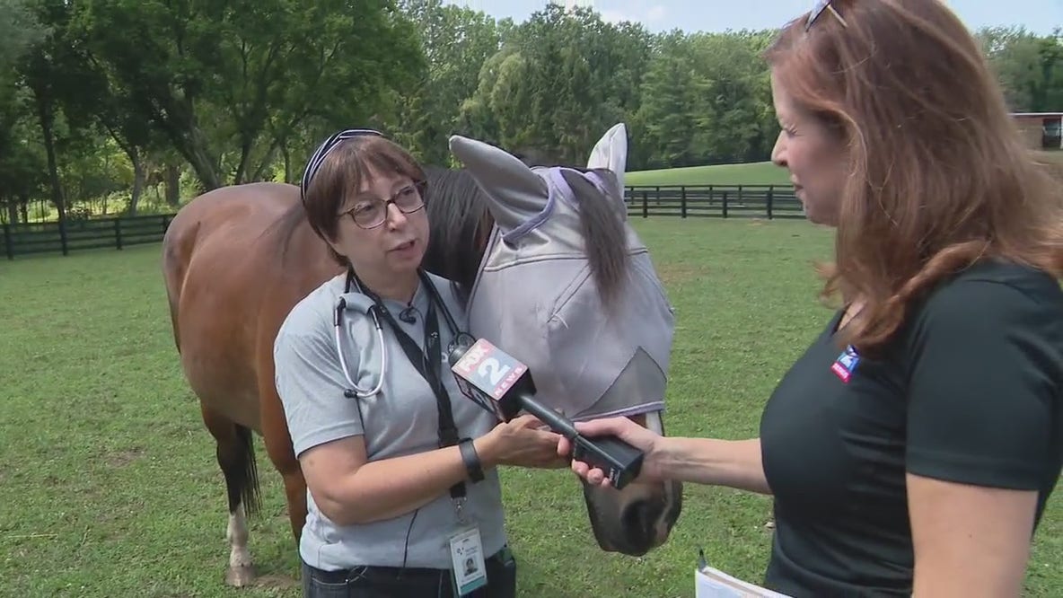 Abraham Ranch in Clarkston helps Michigan Humane's farm animals