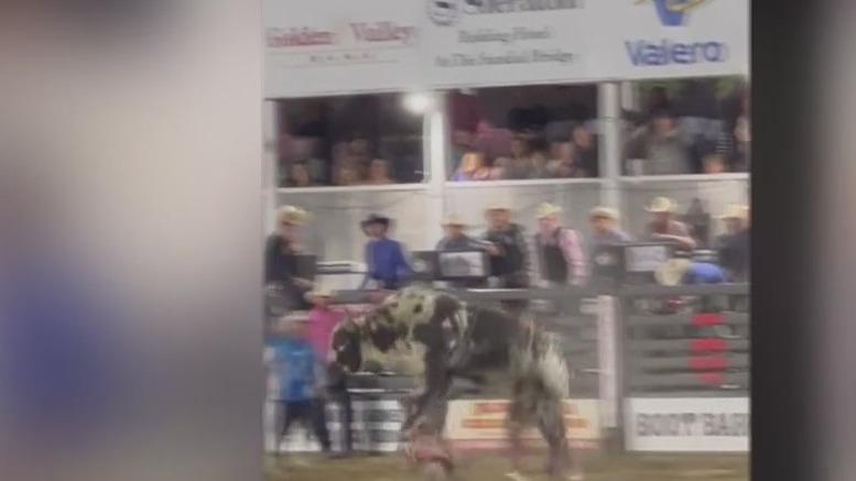 6 hurt when bull escapes Northern California rodeo arena