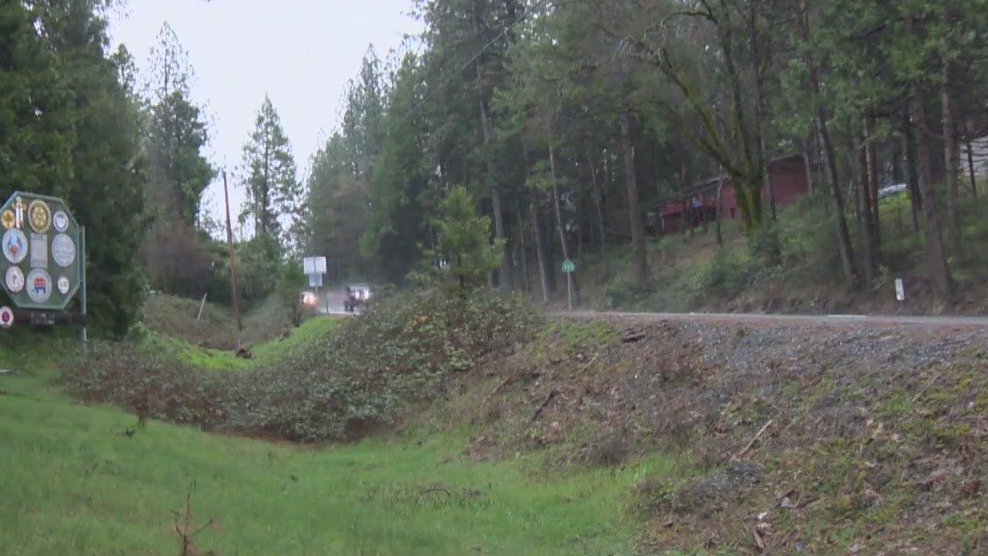 Mountain lion kills 21-year-old brother in El Dorado County