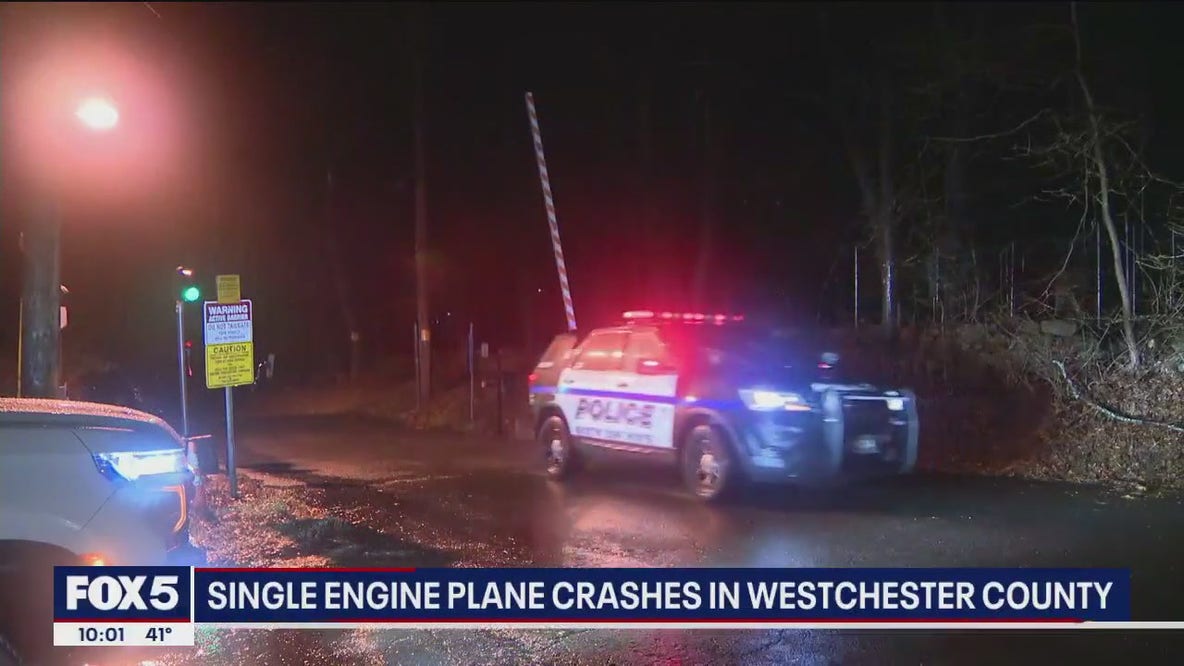 Plane goes missing and crashes in NY