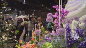 Philadelphia Flower Show 2023: The Philadelphia Convention Center turned into an electric garden