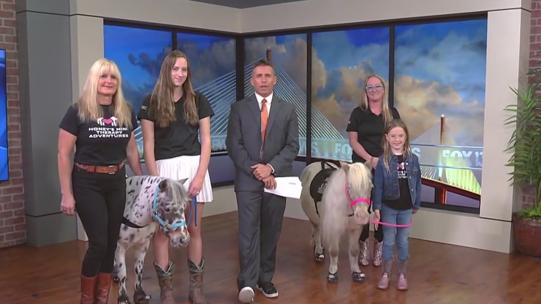 Miniature therapy horses join Good Day ahead of gala celebrating nonprofit