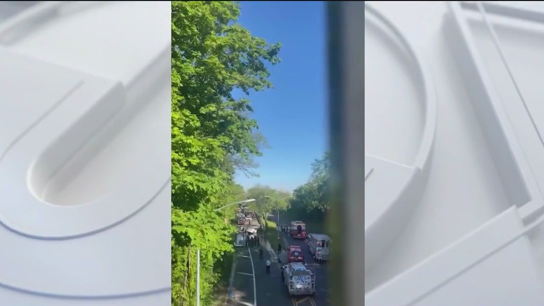 Brooklyn crash: 3 killed after car strikes tree, bursts into flames