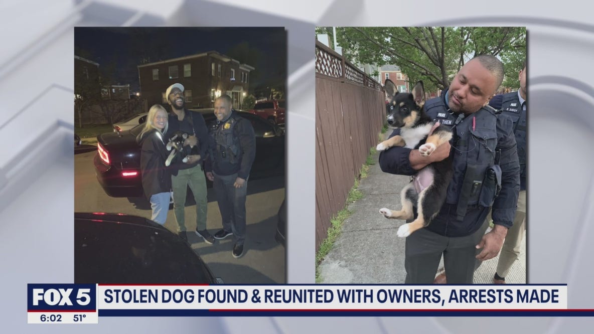 Stolen dog reunited with owners; arrests made