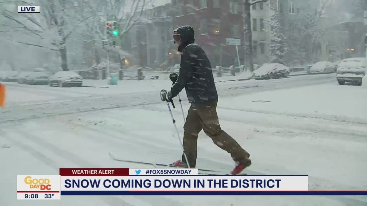 Bob spots man cross-country skiing through the DC snow