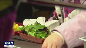 Explainer: What the free school lunch bill will mean for families