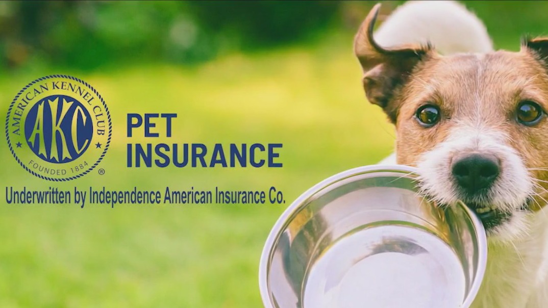 Pet insurance more popular as veterinary costs rise