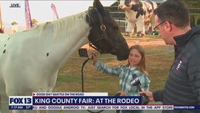 King County Fair: At the rodeo