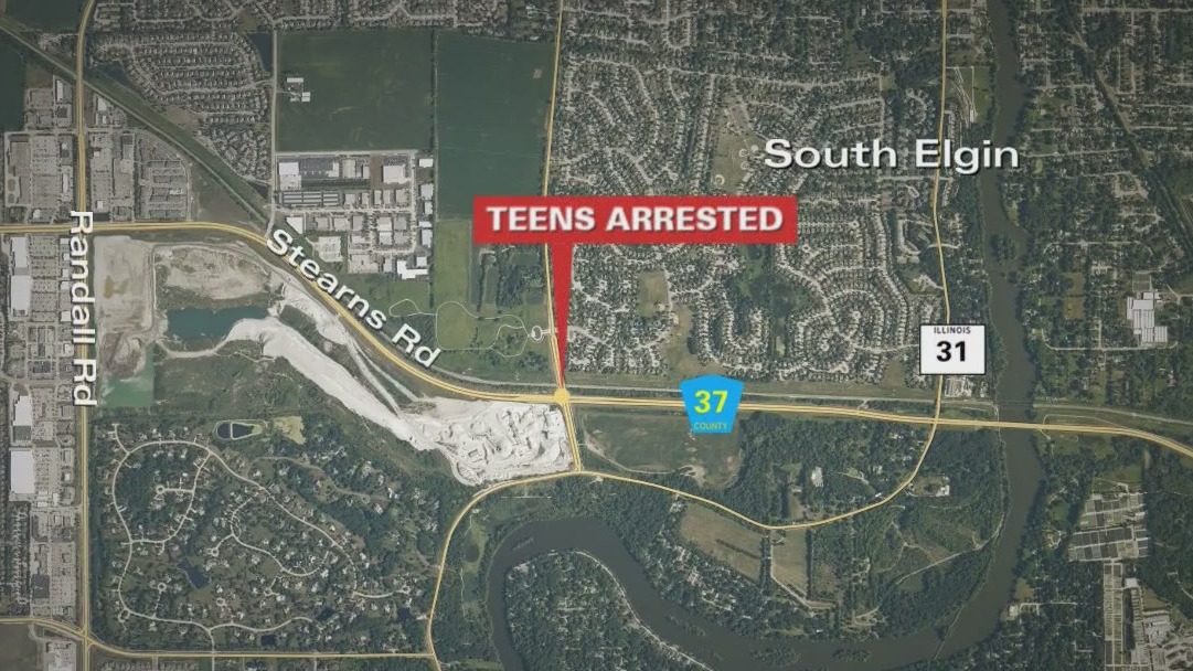 Teens arrested after crashing stolen BMW in Kane County: police