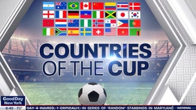Countries of the Cup: Norway