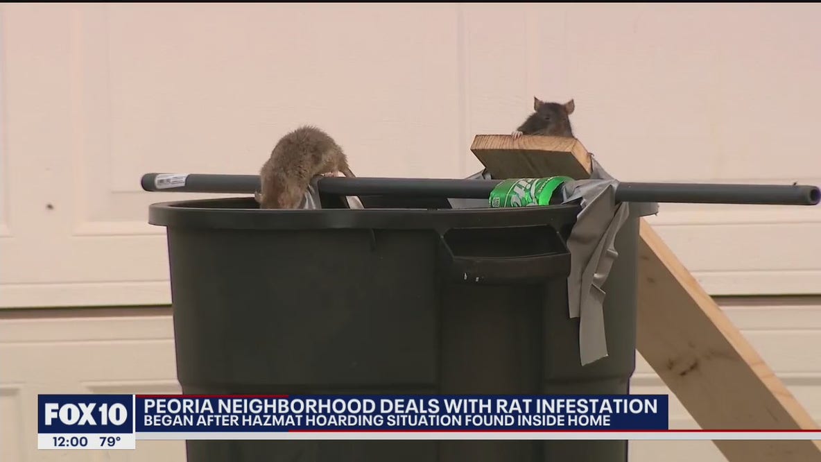 Peoria neighborhood dealing with rat infestation after woman was found dead inside home