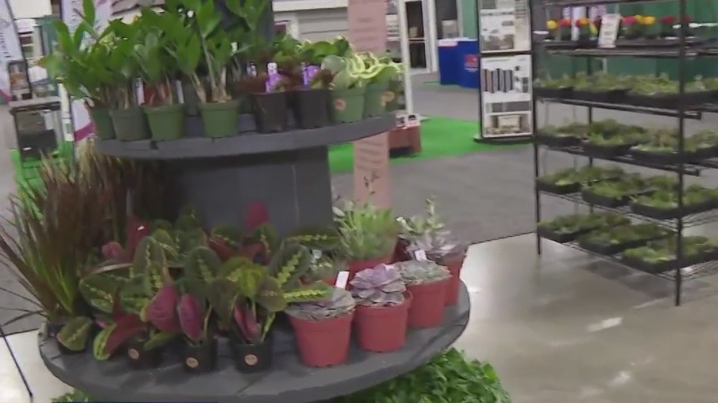 If you love succulents, but aren’t the best at keeping them alive, the team at Forrest Farms wants to help