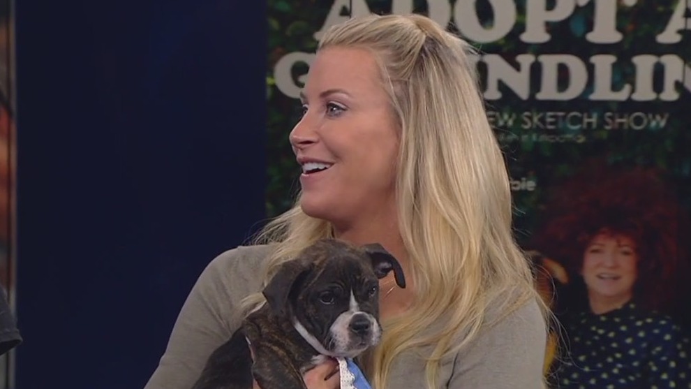 The Groundlings and rescue pups visit GDLA+