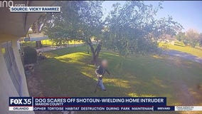 Guy with shotgun walks into person's house