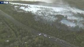 Burn in Florida creates smoky effect over treeline and roadway
