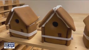 Gingerbread houses for the holidays