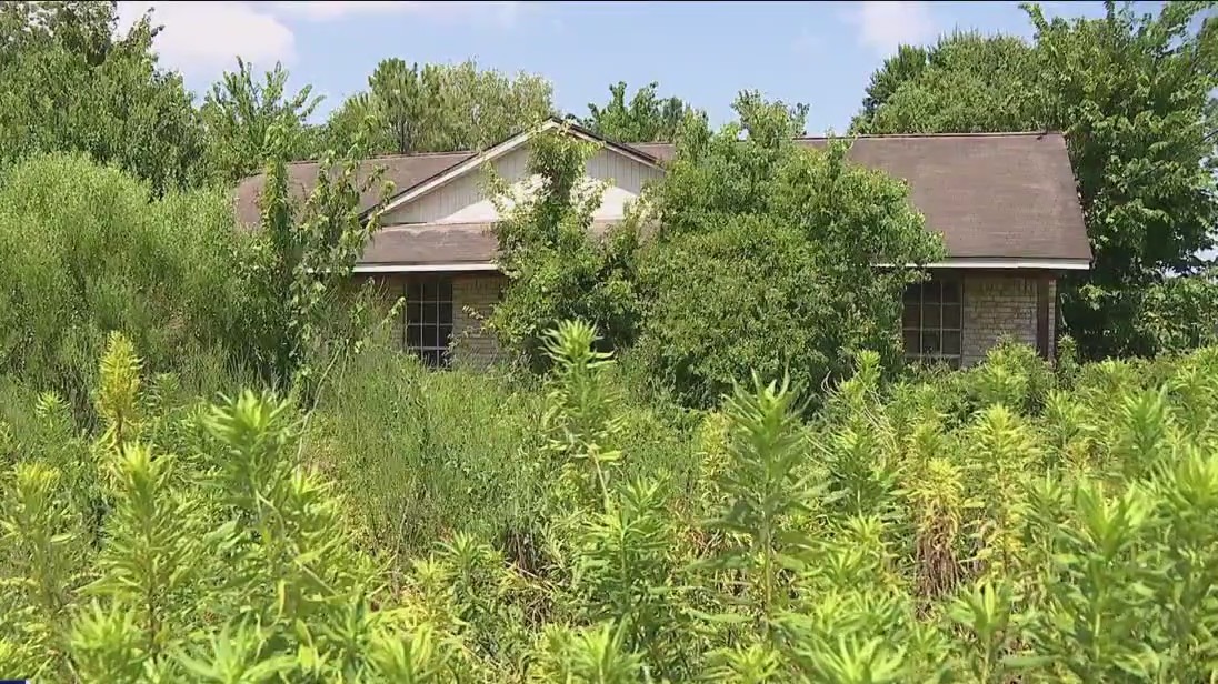 Nasty nuisance leaves Brazoria Co. neighbors outraged