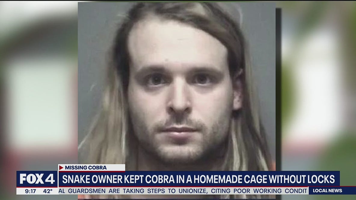 Grand Prairie snake owner kept cobra in homemade cage without locks, police say