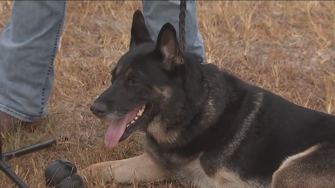 'Back the Boo' benefits K-9s of Pasco County Sheriff's Office