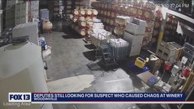 Deputies still looking for suspect who caused chaos at Woodinville winery