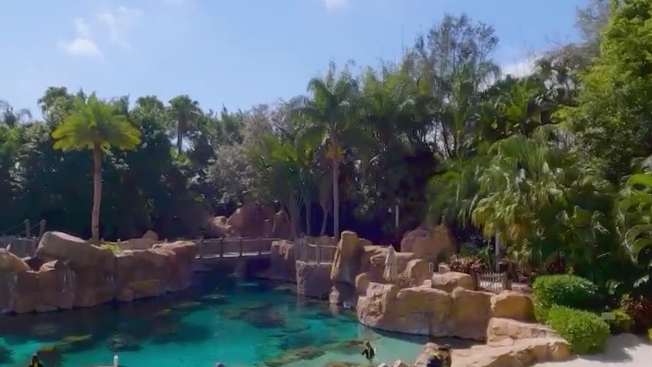 Lawsuit: Woman hit by falling branch at SeaWorld