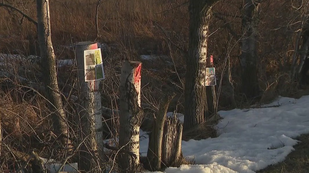 Ashippun tree vandalism FOX6 Milwaukee