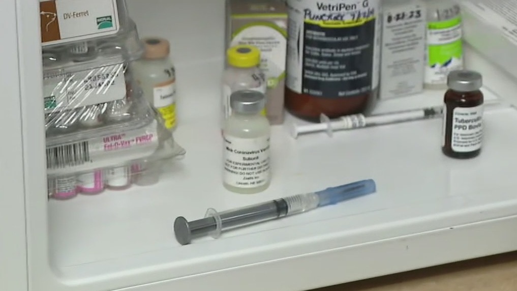Phoenix Zoo vaccinating animals against COVID-19