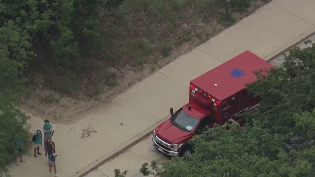 Body pulled from Lake Michigan in Cook County