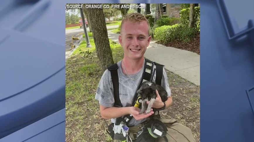 Kitten rescued from house fire in Florida