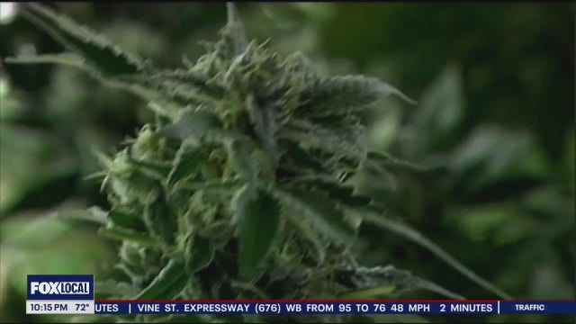 Reclassification of cannabis could be game-changer for US drug policy