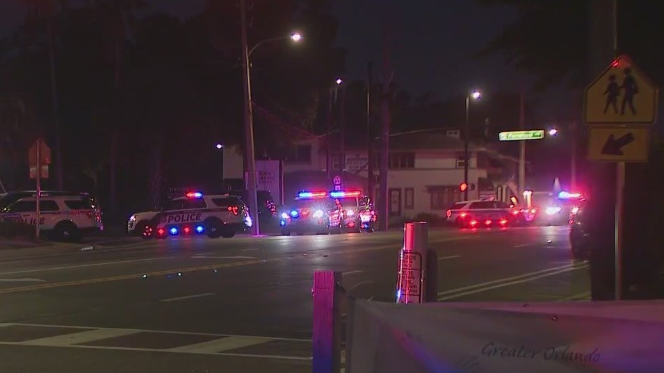 Suspect in custody after domestic disturbance