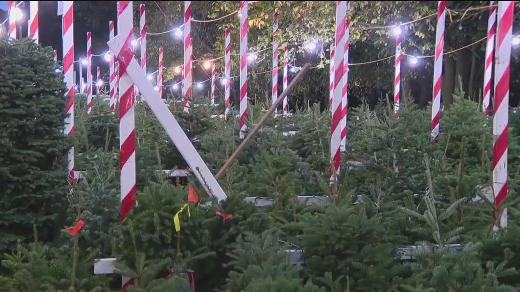 Holiday preparations in full swing post-Thanksgiving