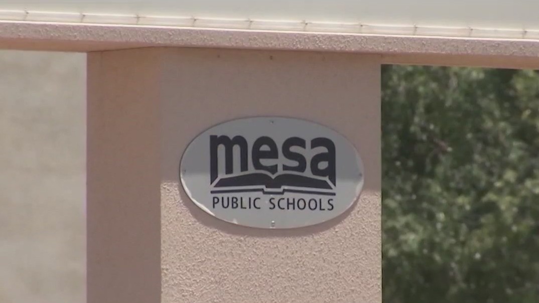 Arizona Election 2023: Mesa results too close to call