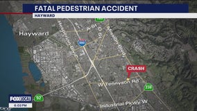 Pedestrian fatally struck in vehicle collision