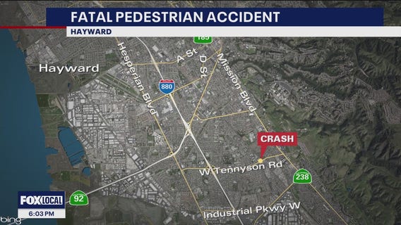 Pedestrian fatally struck in vehicle collision