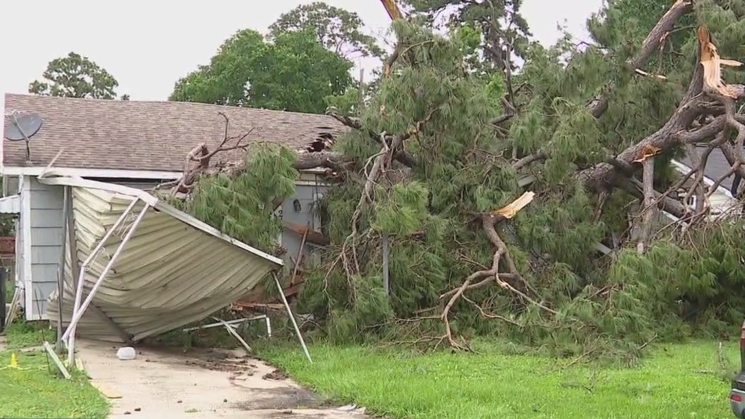Tree goes straight through Houston woman's home
