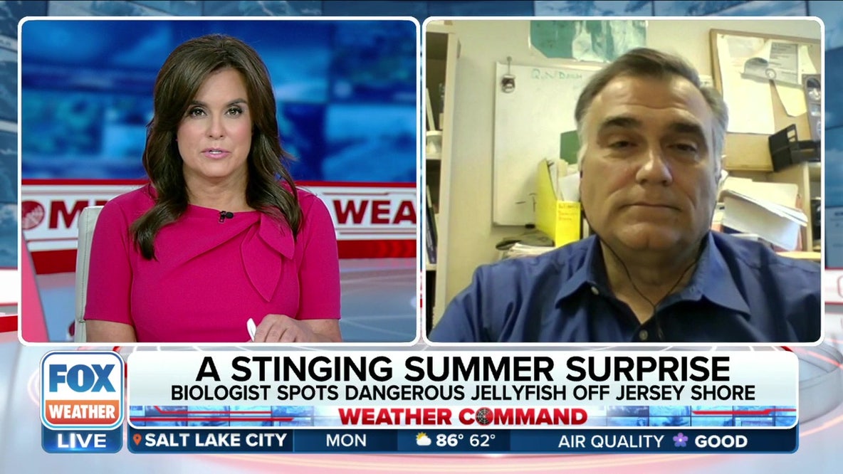 Jersey Shore beachgoers in for a stinging summer surprise