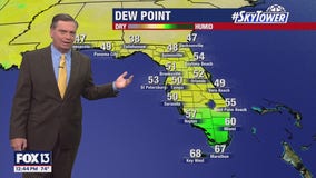 Tampa Weather | Beautiful stretch of weather ahead