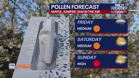 Allergies are blooming as pollen increases across the Delaware Valley