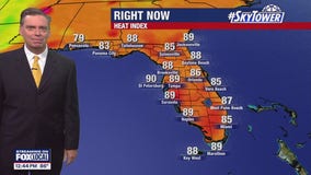 Tampa Weather | temperatures heating up