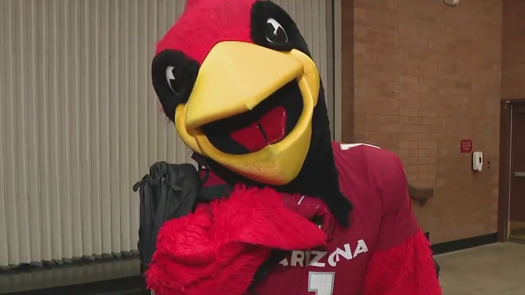 Arizona Cardinals donate school supplies
