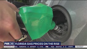 Gas prices on the rise in Florida