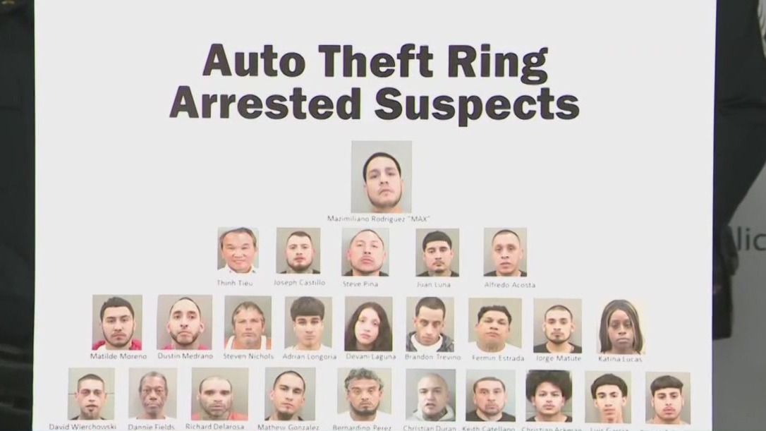 Several suspects in alleged auto theft ring out on bond