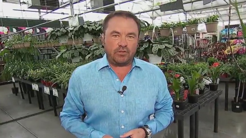 Top garden trends for 2024 from FOX 9's Dale K