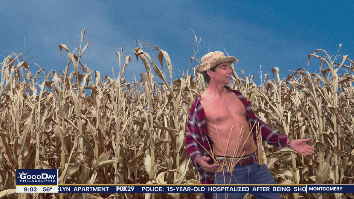 'Pictionary' host Jerry O'Connell guest hosts 'Good Day Philadelphia'